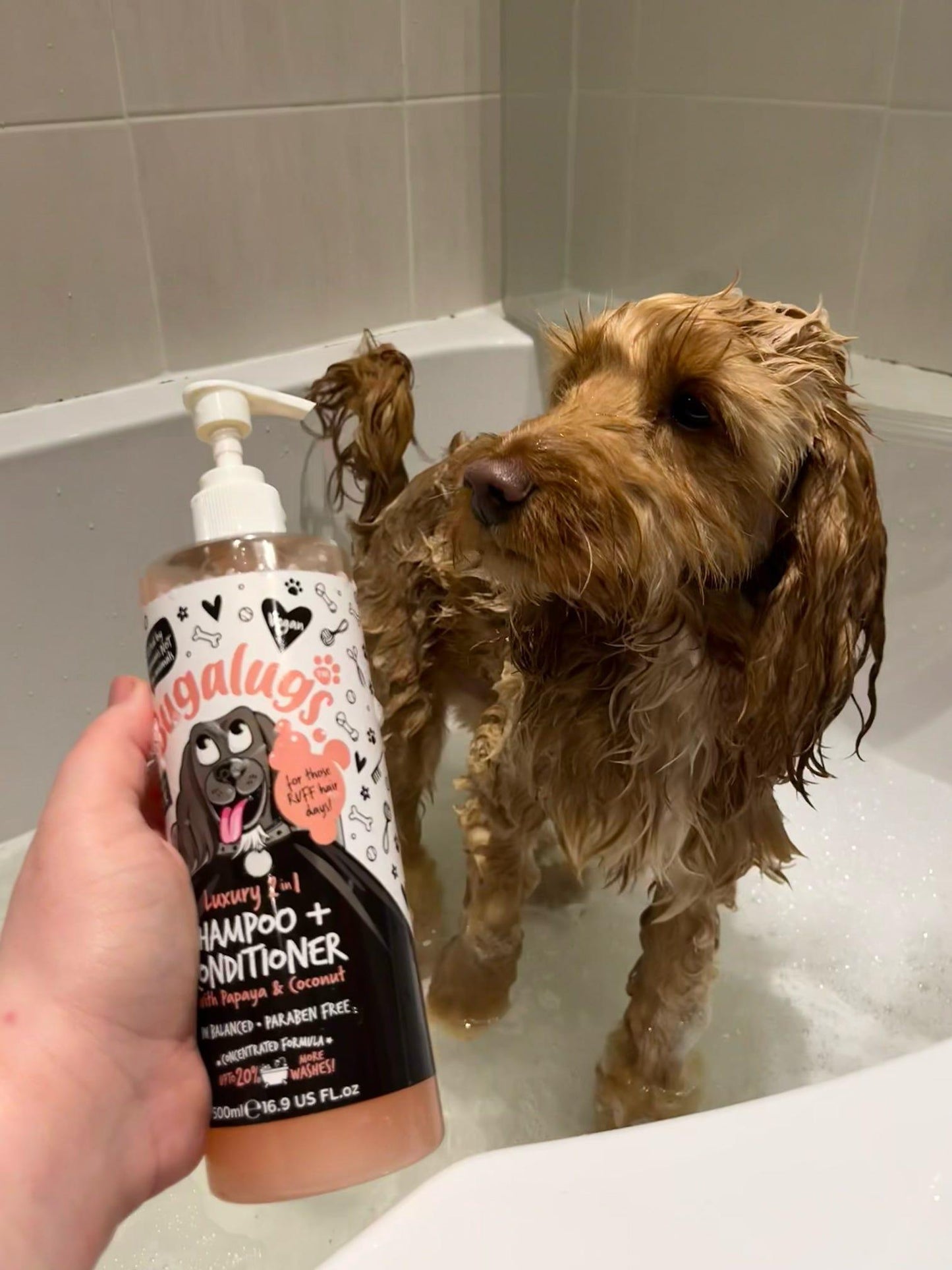 Bugalugs Luxury 2 in 1 (Papaya + Coconut) Dog Shampoo + Conditioner - Happipaws Ltd